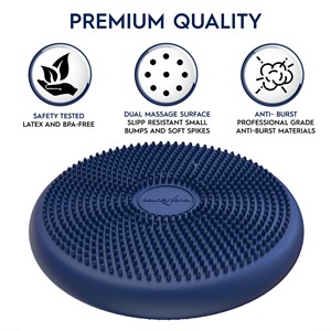 Wiggle Seat Big Sensory Chair Blue Cushion Elementary School - 13"